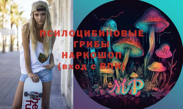 стафф Арсеньев