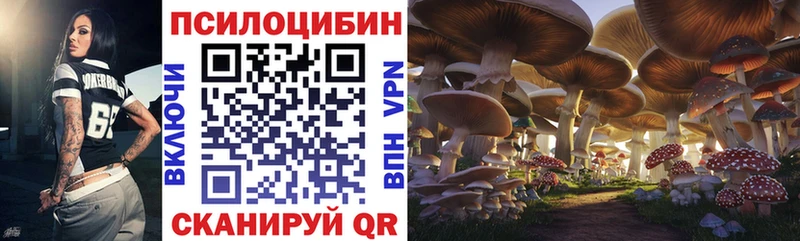 где найти наркотики Талица Галлюциногенные грибы прущие грибы